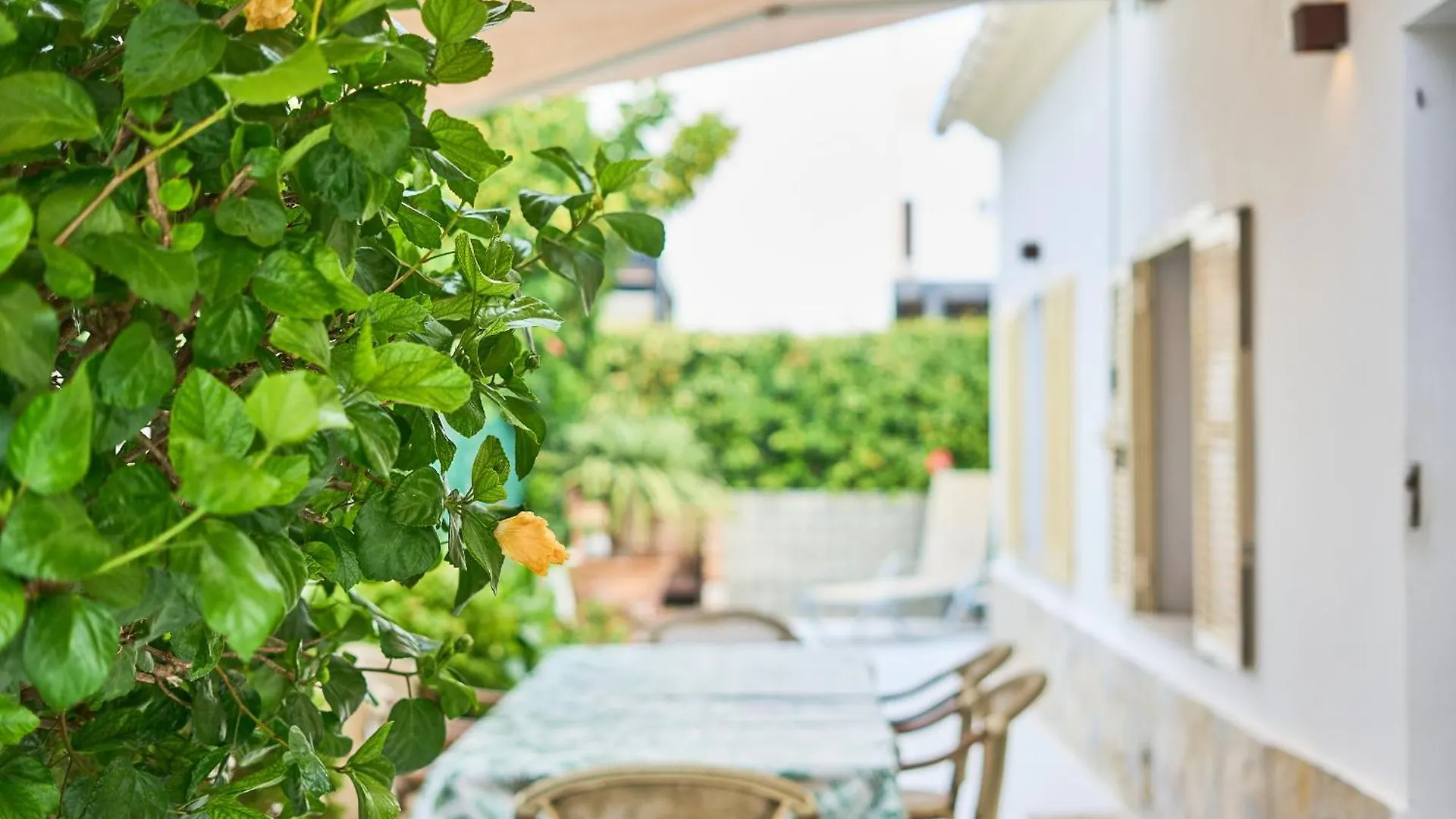 Villa Hibiscus بورت دي بوينسا إسبانيا